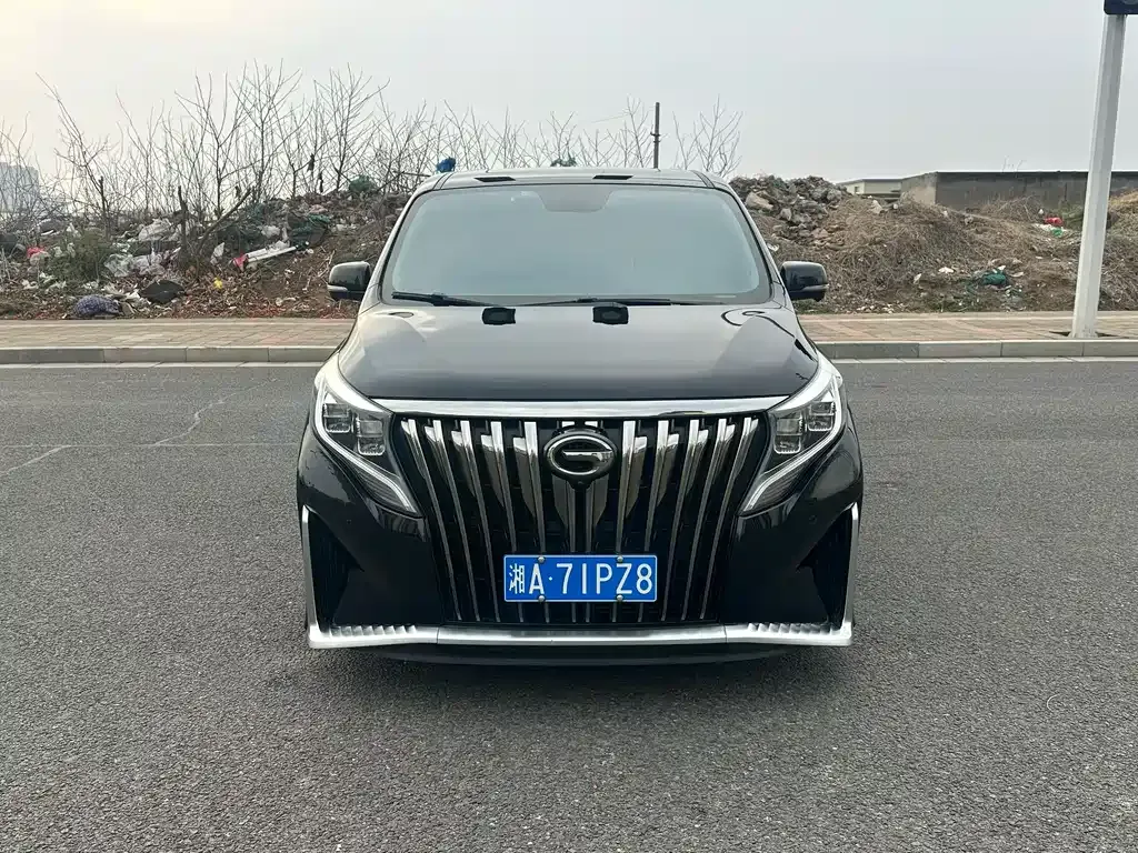 GAC Motor Trumpchi M8 2021 из CN, фото 6