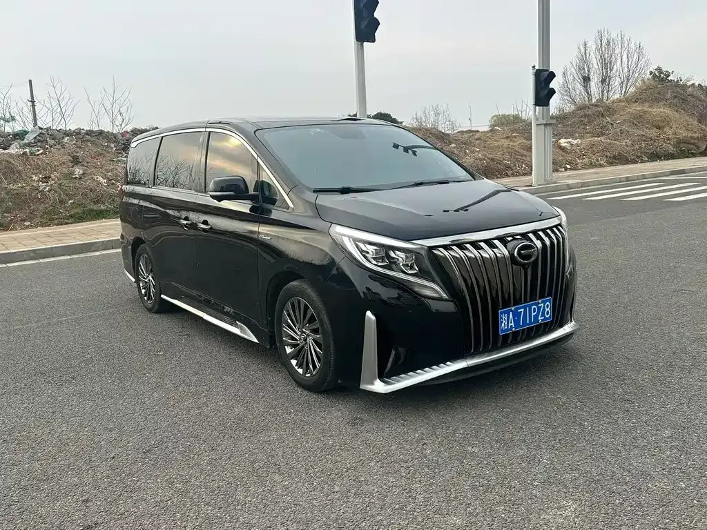 GAC Motor Trumpchi M8 2021 из CN, фото 8