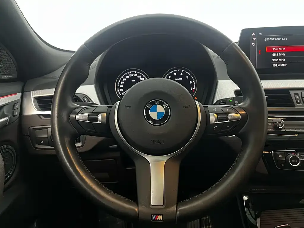 BMW X2 2021 из CN, фото 10