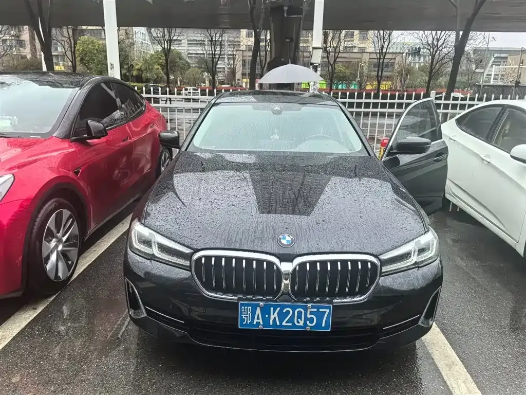 BMW 5 Series 2022 из CN, фото 6