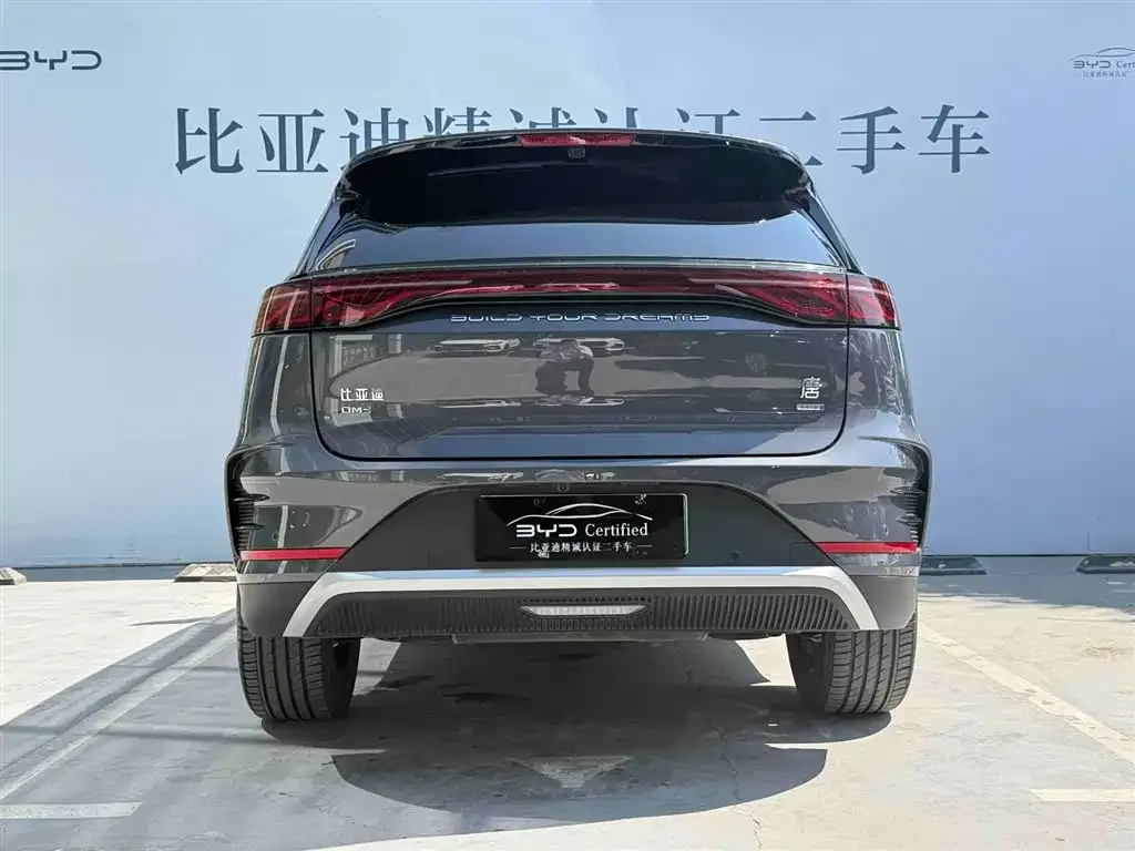 BYD Tang New Energy — фото 8