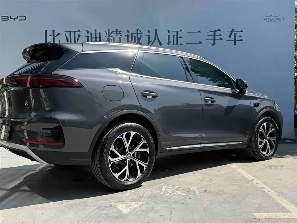 BYD Tang New Energy — фото 4