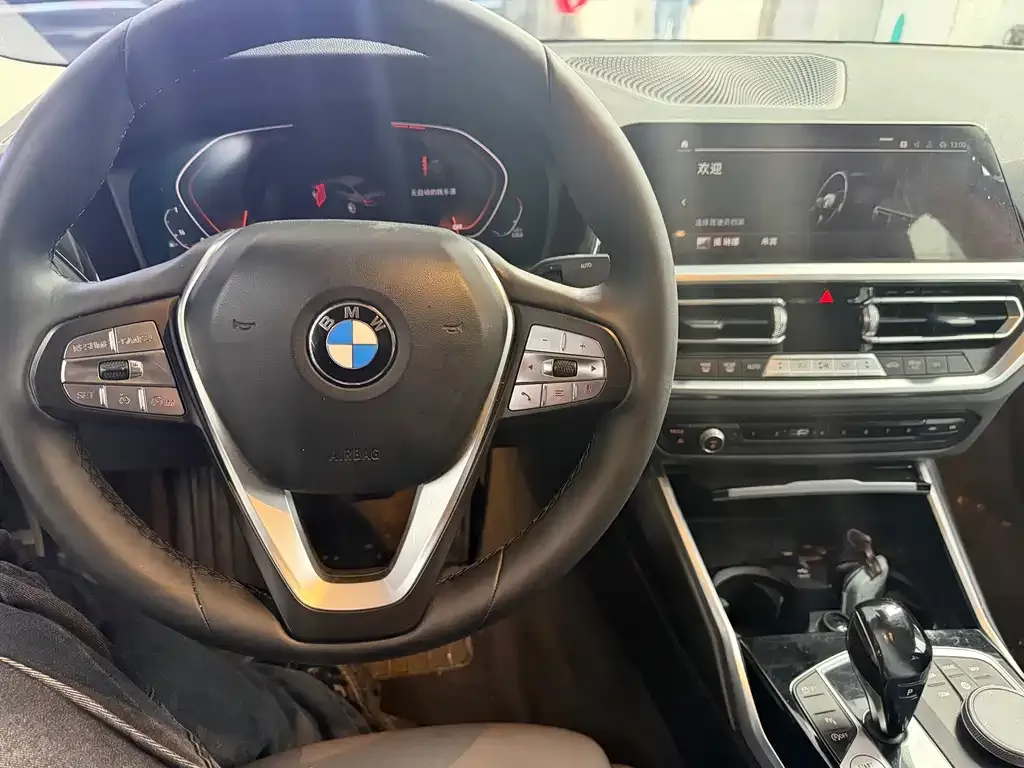 BMW 3 Series 2021 из CN, фото 6