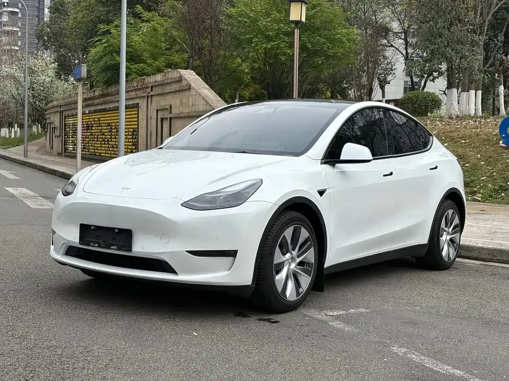 Tesla Model Y 2022 из CN, фото 1