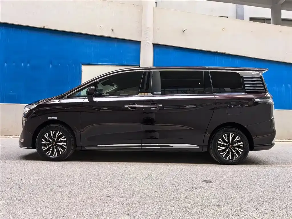 Hongqi HQ9 PHEV 2025 из CN, фото 7