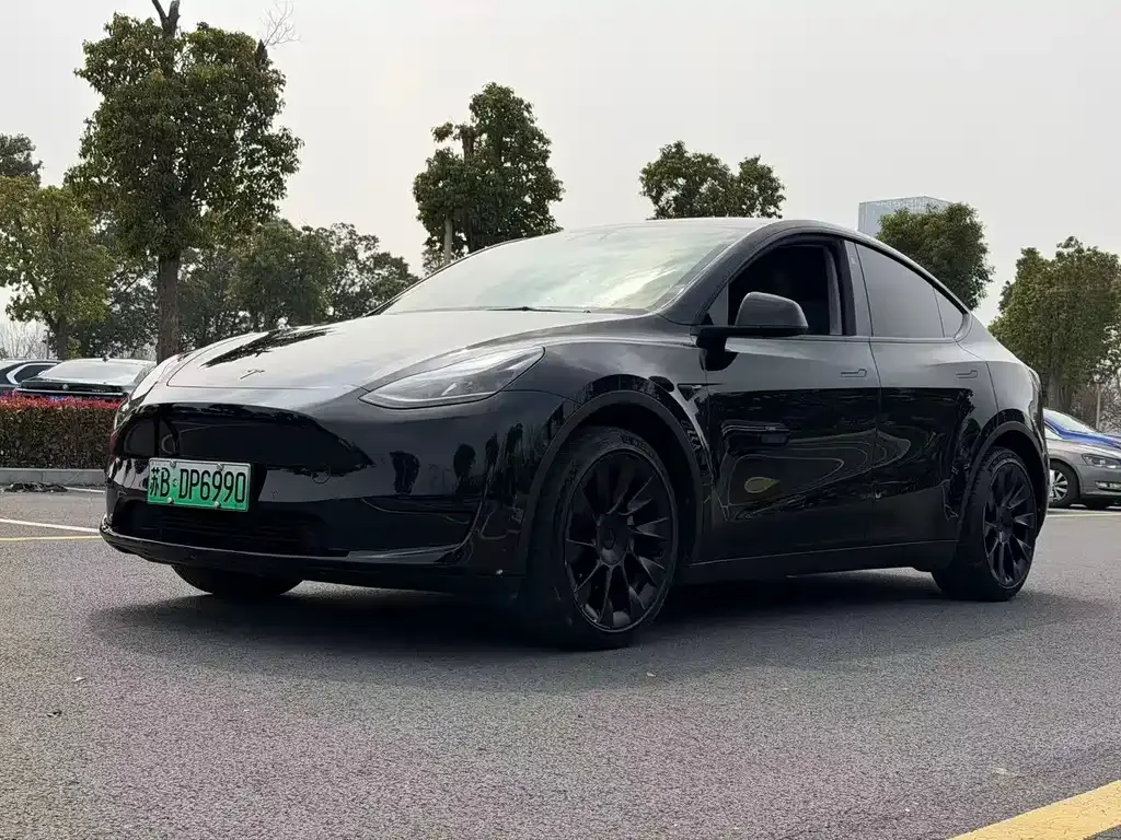 Tesla Model Y — фото 9