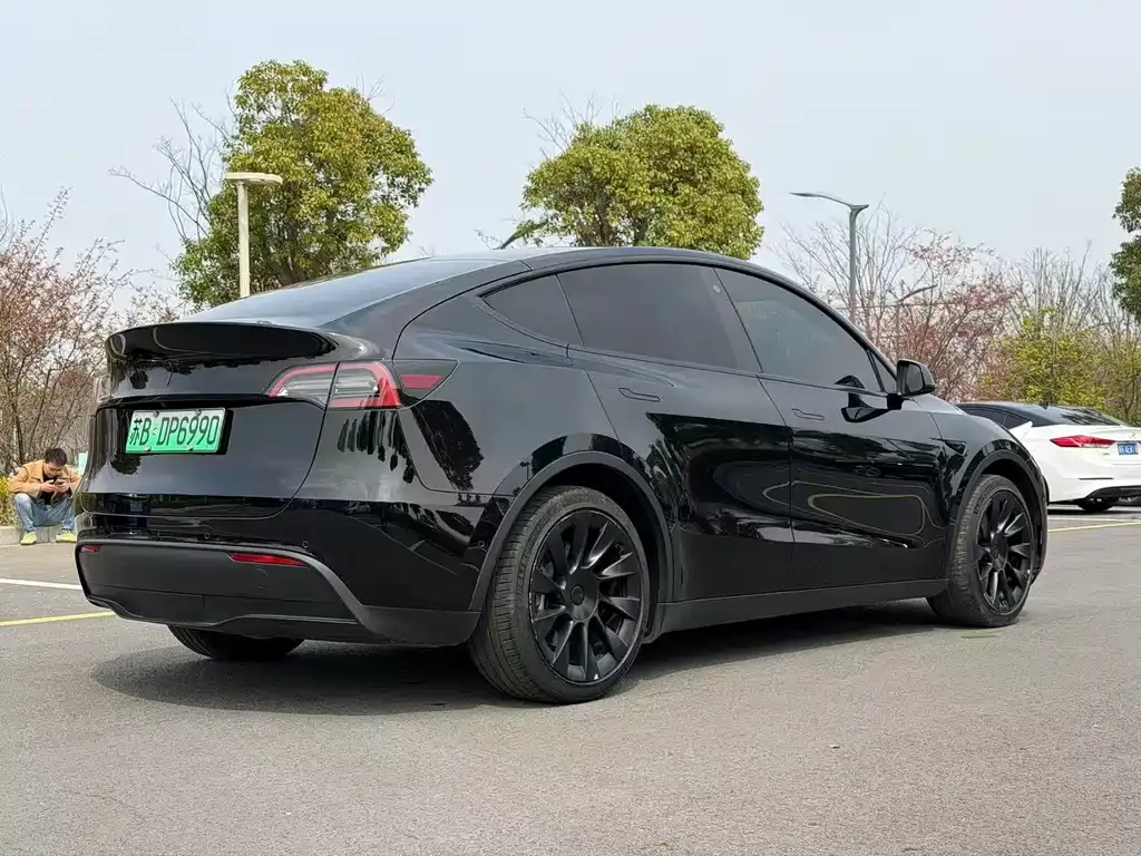 Tesla Model Y — фото 10