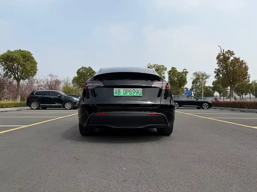 Tesla Model Y — фото 3