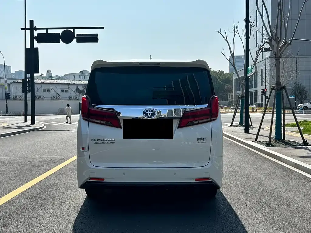 Toyota Alphard 2021 из CN, фото 9