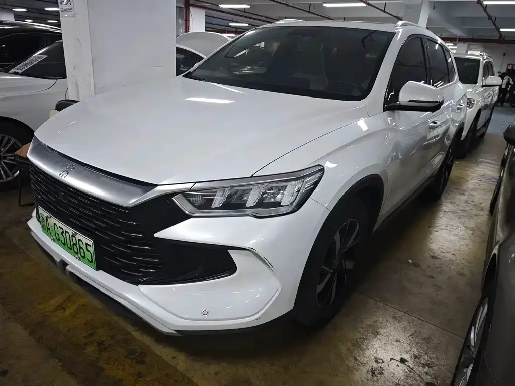BYD Pro New Energy — фото 4