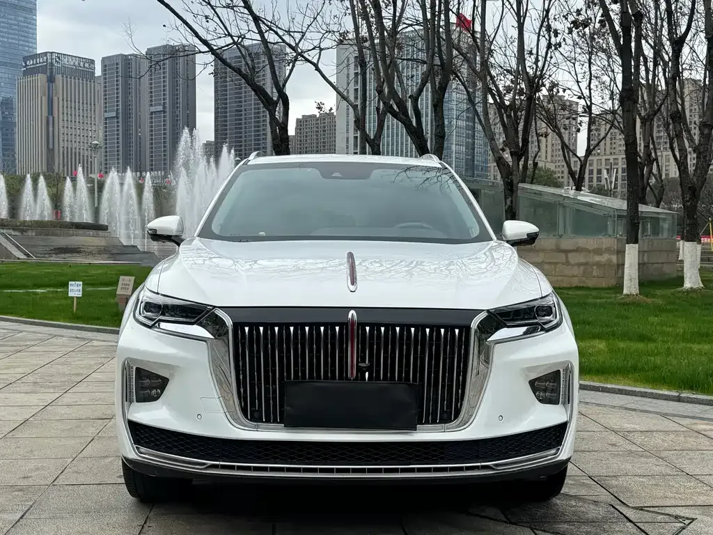 Hongqi HS5 2023 из CN, фото 9