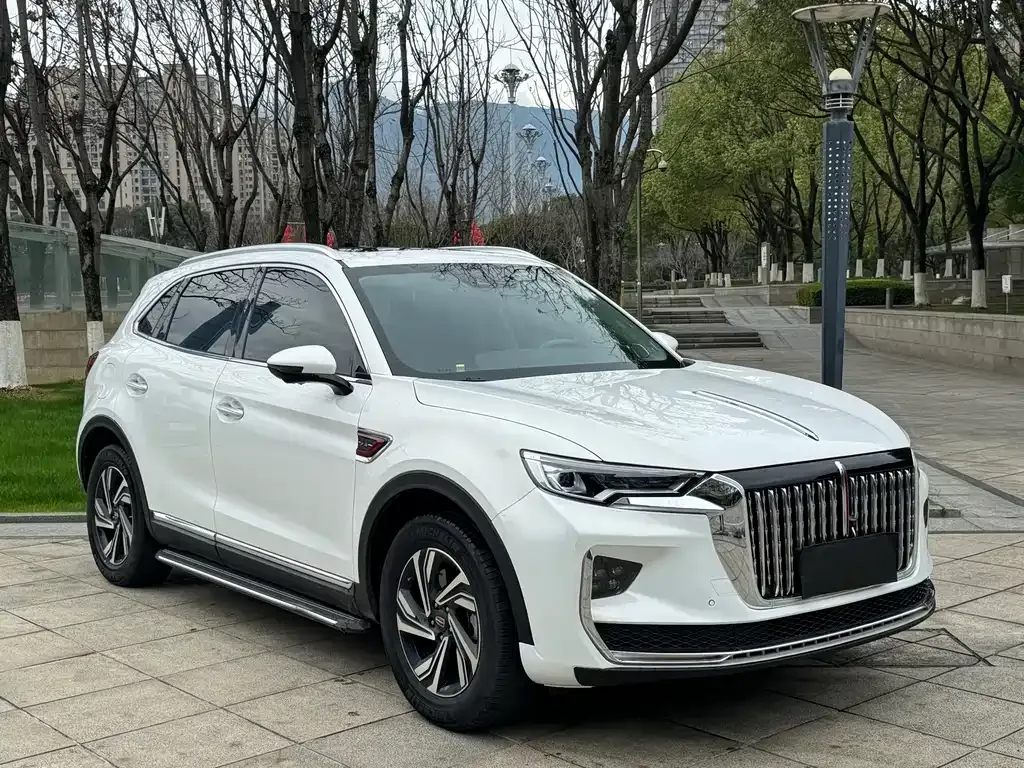 Hongqi HS5 2023 из CN, фото 8