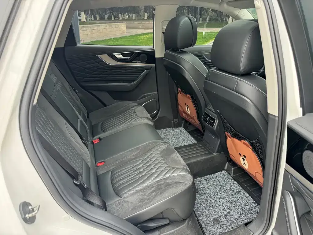 Hongqi HS5 2023 из CN, фото 10