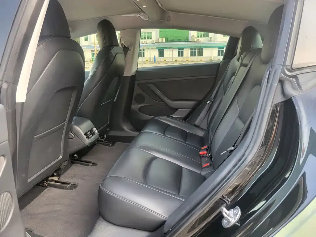 Tesla Model 3 2021 из CN, фото 6