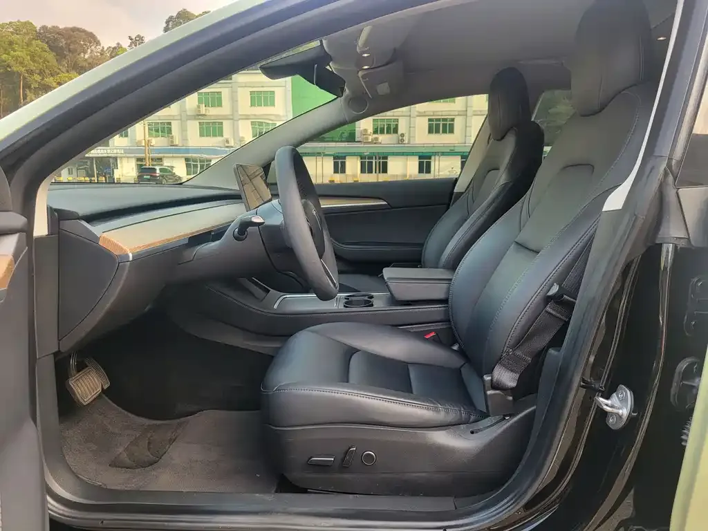 Tesla Model 3 2021 из CN, фото 5