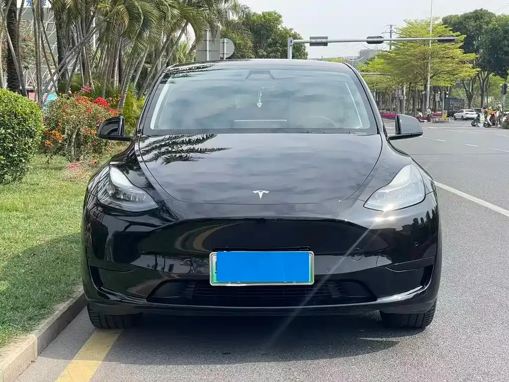 Tesla Model Y — фото 8