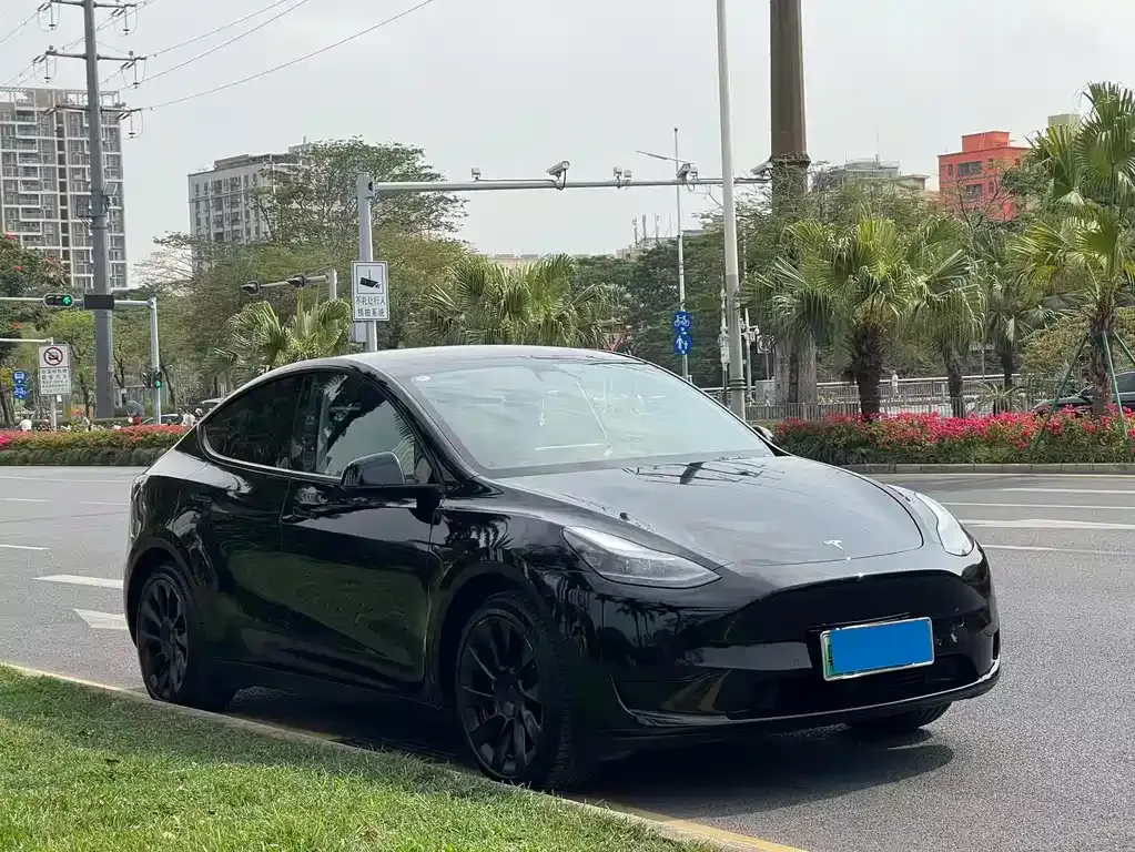 Tesla Model Y — фото 4