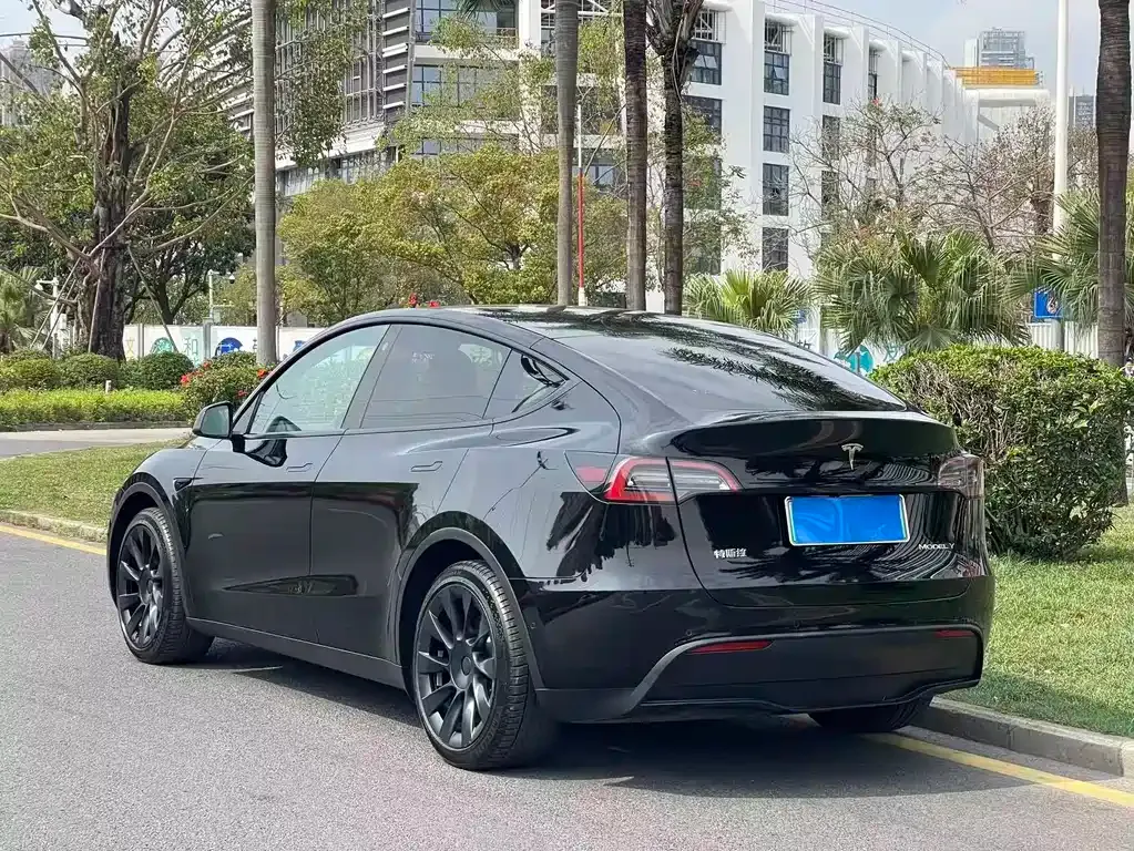 Tesla Model Y — фото 7