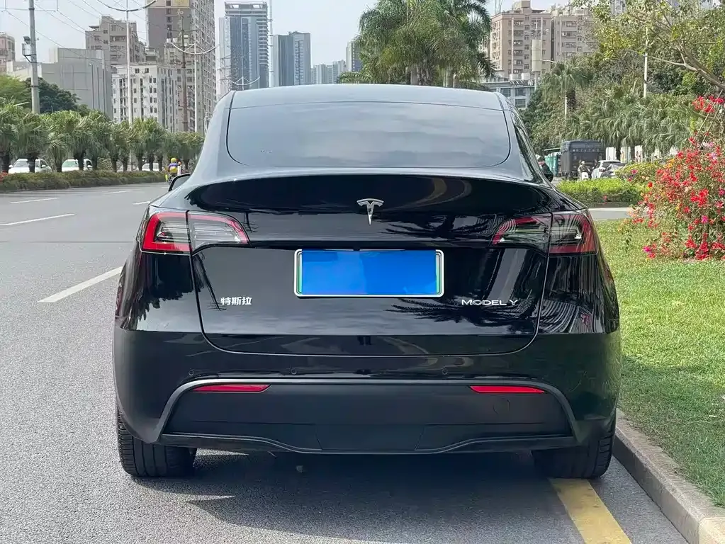 Tesla Model Y — фото 5