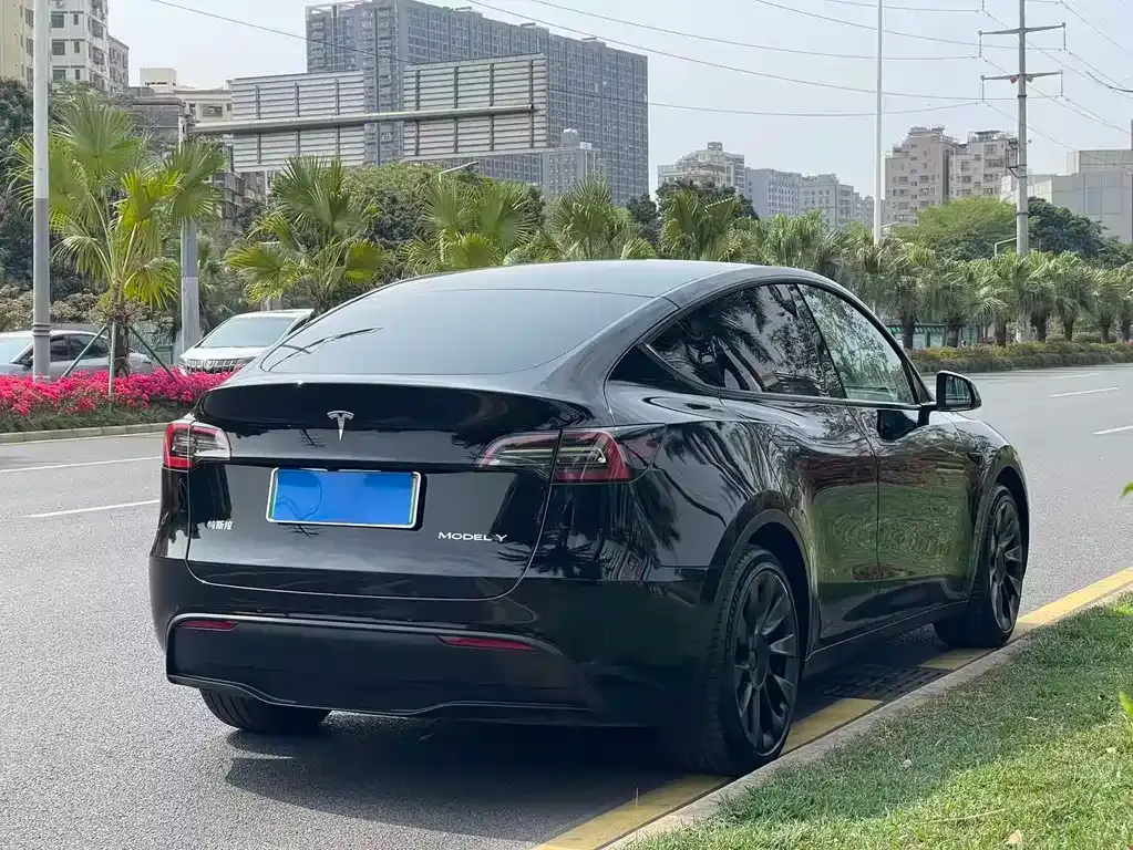 Tesla Model Y — фото 10