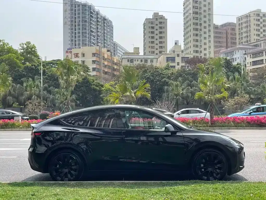 Tesla Model Y — фото 9