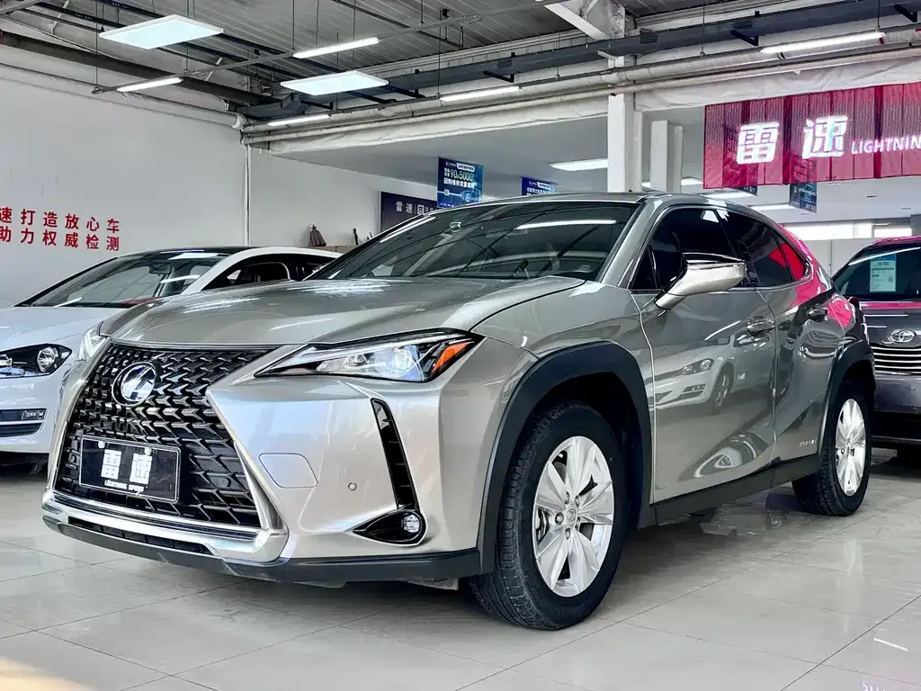 Lexus UX 2021 из CN, фото 1