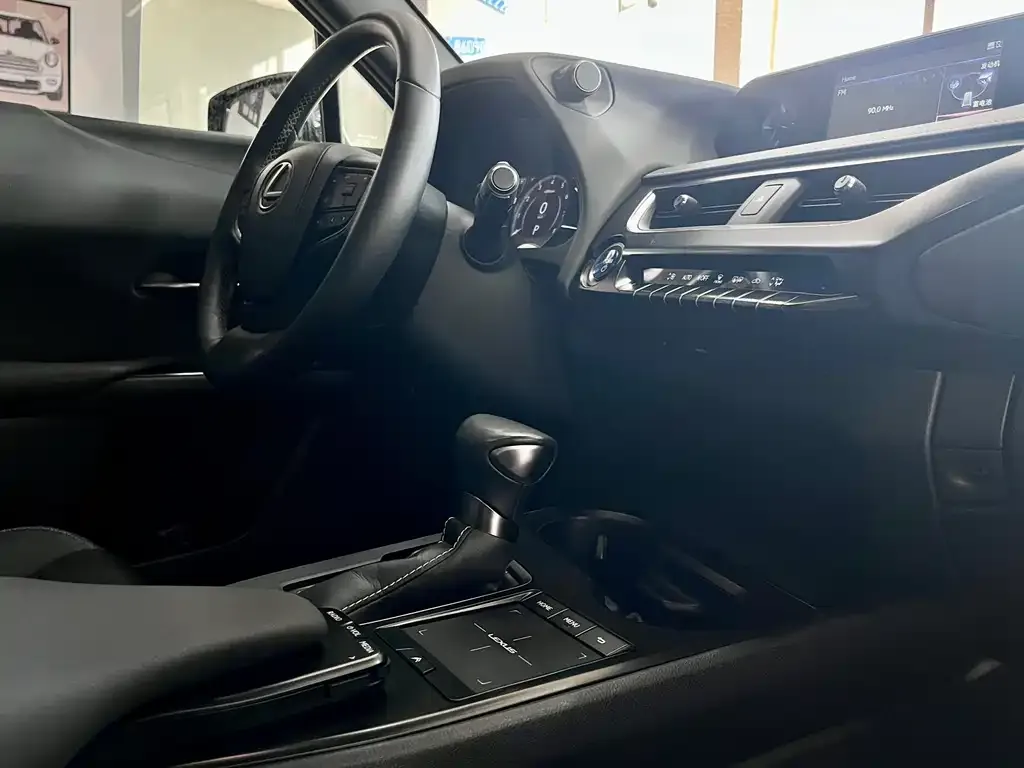 Lexus UX 2021 из CN, фото 3