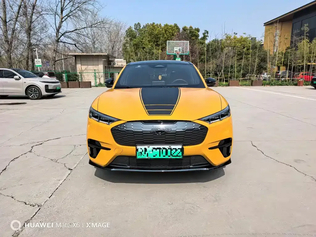 Ford Mustang Mach-E 2025 из CN, фото 6