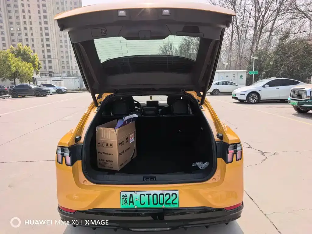 Ford Mustang Mach-E 2025 из CN, фото 4