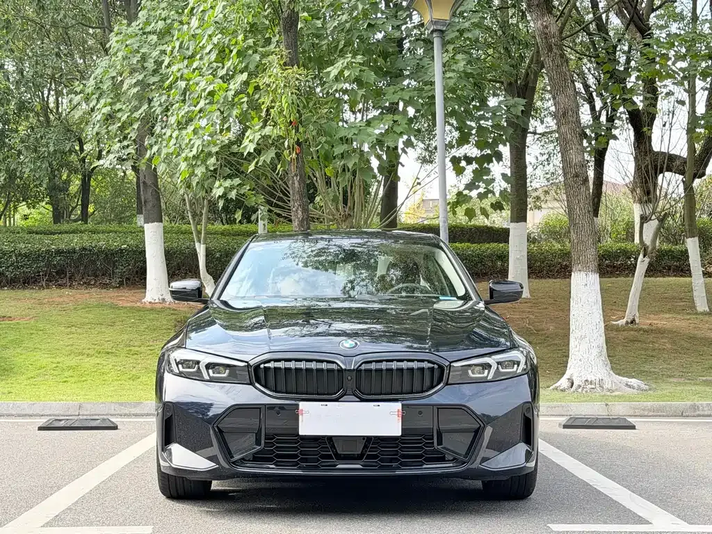 BMW 3 Series 2024 из CN, фото 4