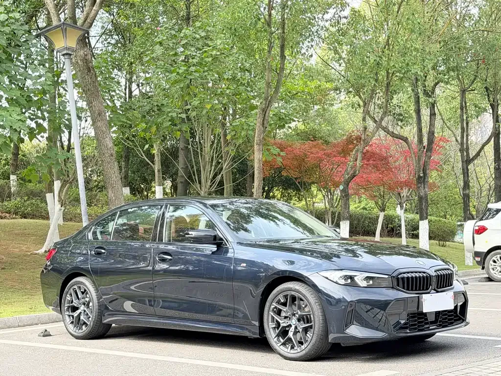 BMW 3 Series 2024 из CN, фото 5