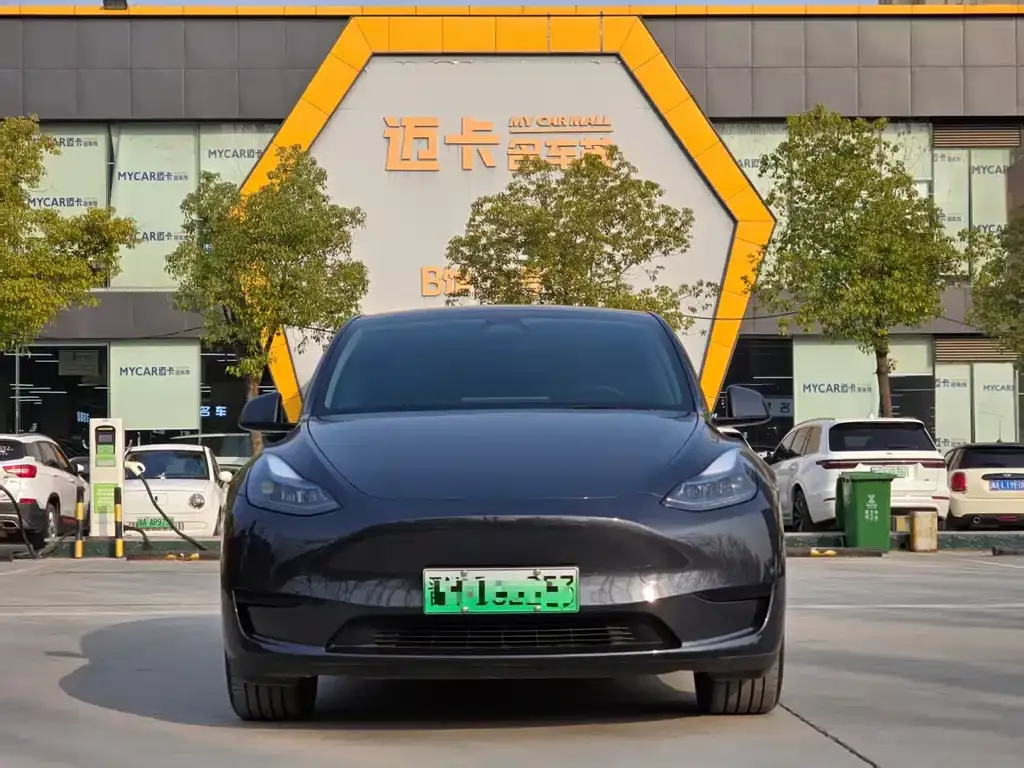 Tesla Model Y — фото 3