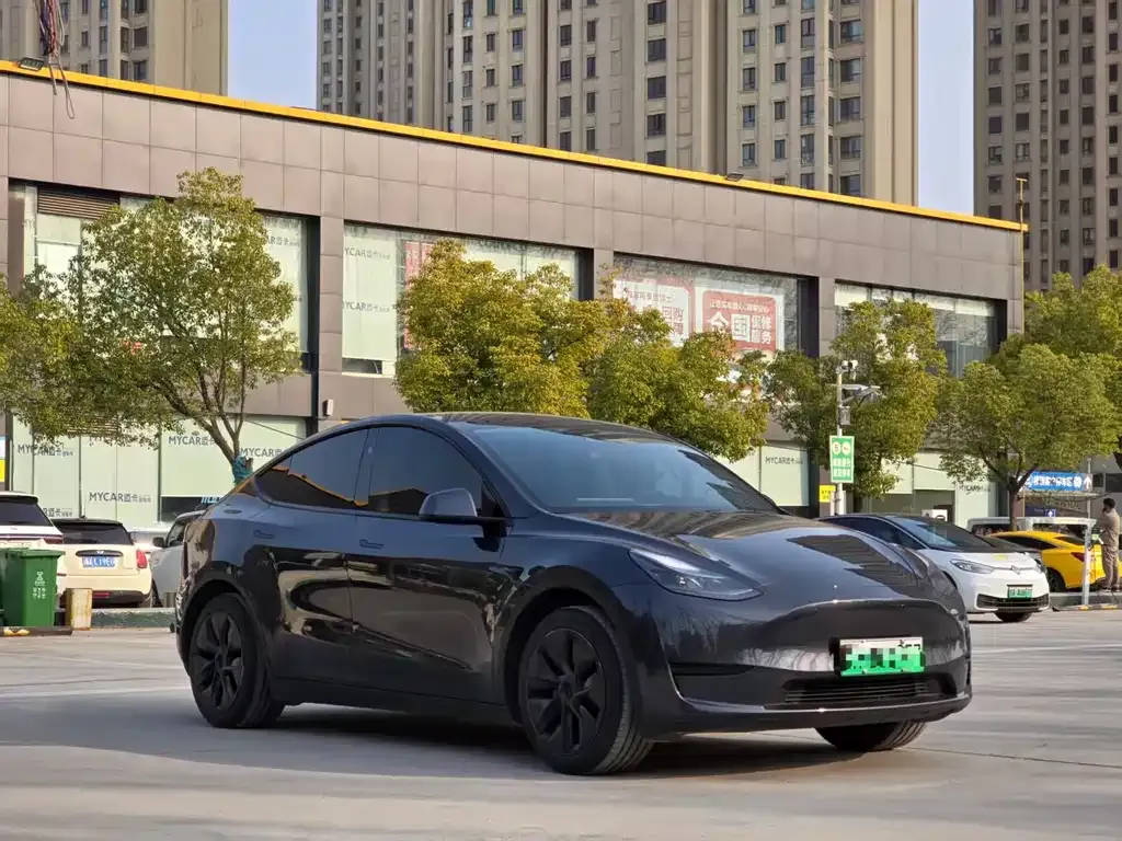 Tesla Model Y — фото 5