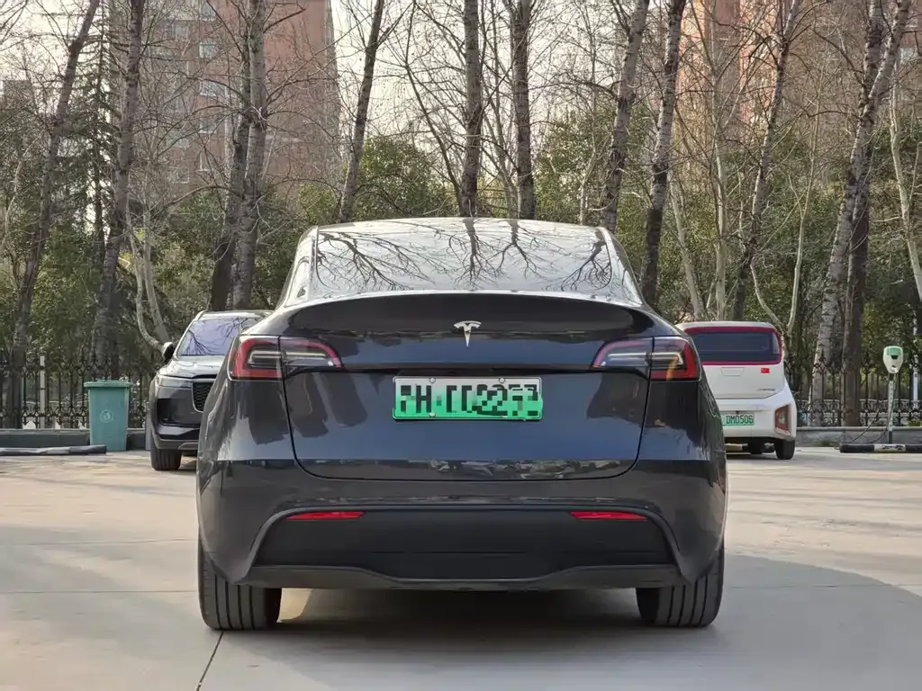 Tesla Model Y — фото 9