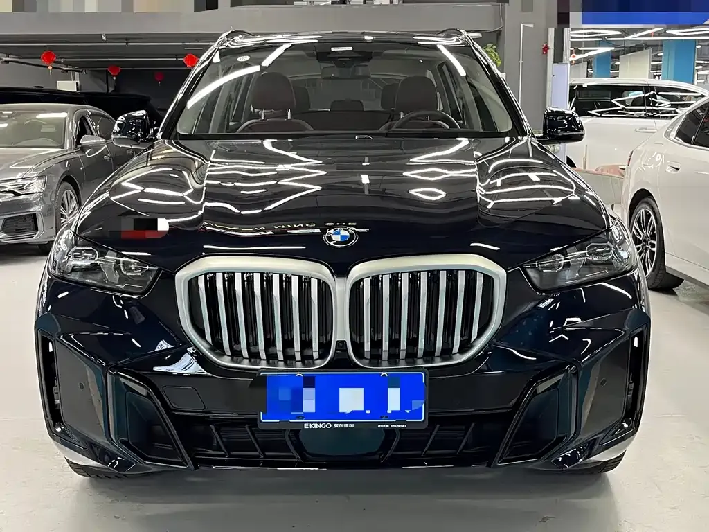BMW X5 — фото 10