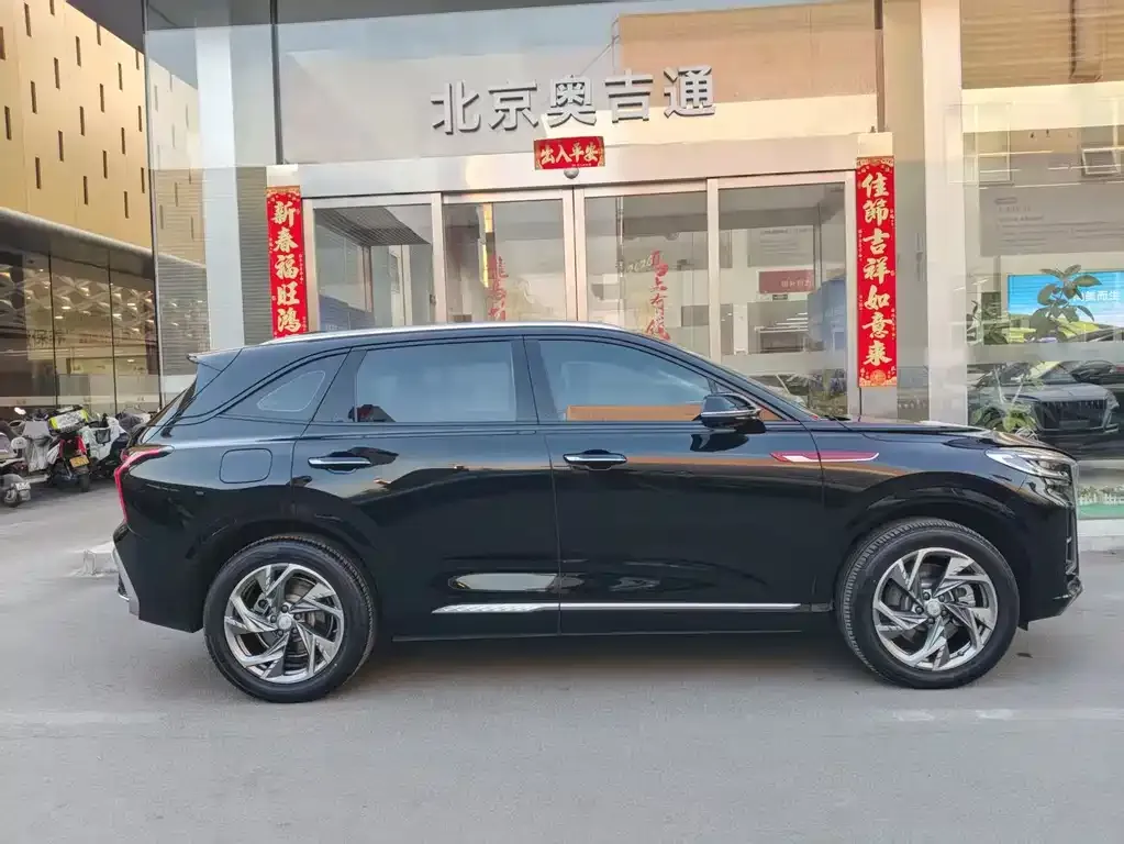 Hongqi HS3 PHEV 2024 из CN, фото 9