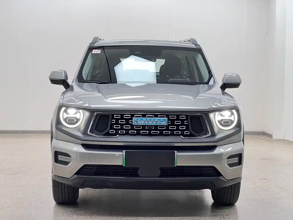 Haval H7 (Big Dog Plus) New Energy — фото 3