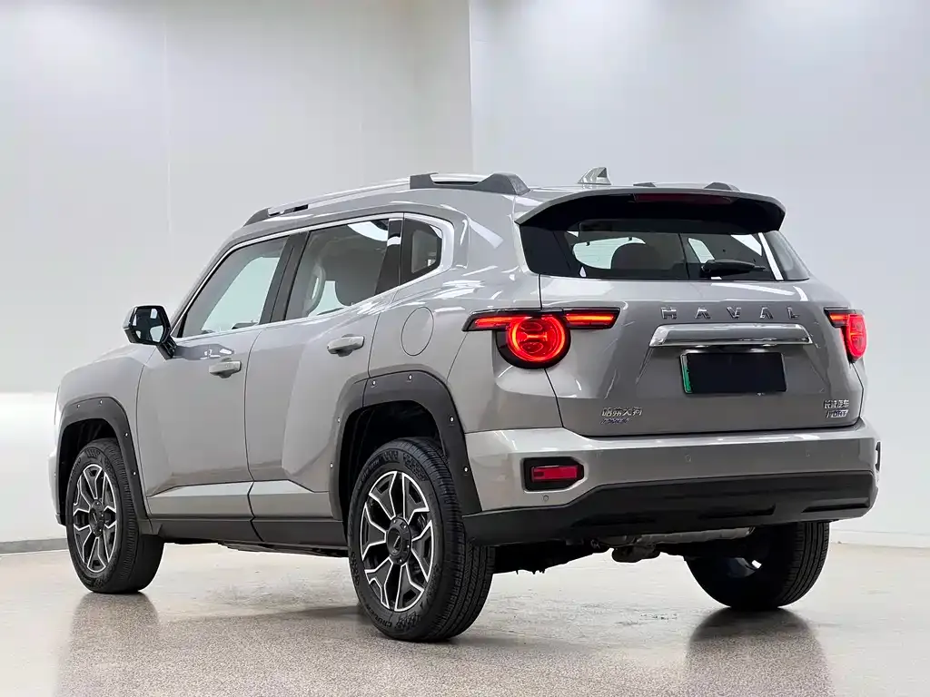 Haval H7 (Big Dog Plus) New Energy — фото 9