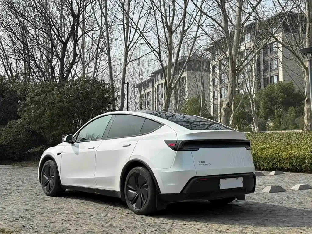 Tesla Model Y — фото 10