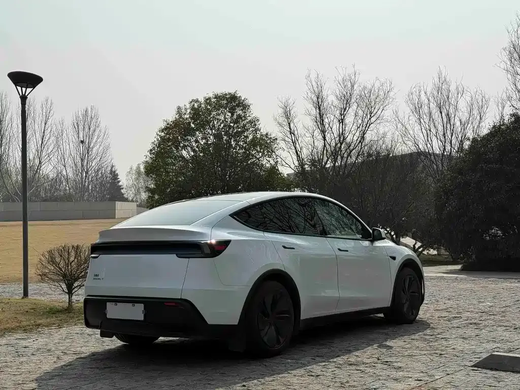 Tesla Model Y — фото 5
