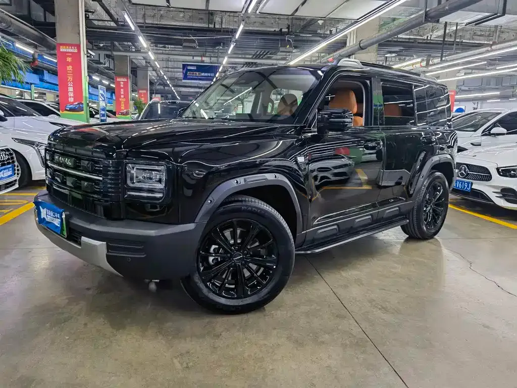 Haval Menglong New Energy 2025 из CN, фото 1