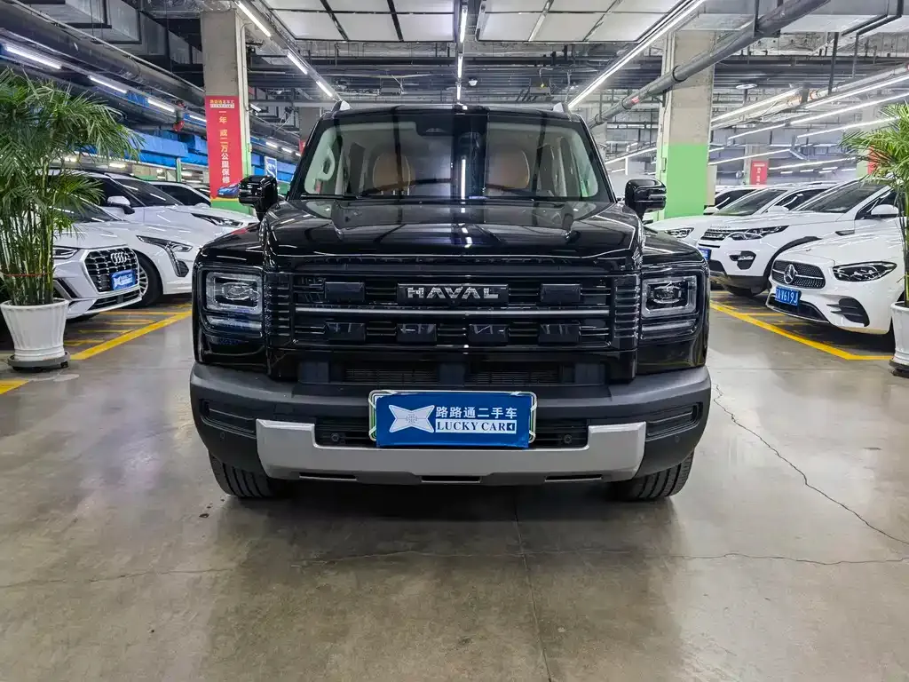 Haval Menglong New Energy 2025 из CN, фото 2