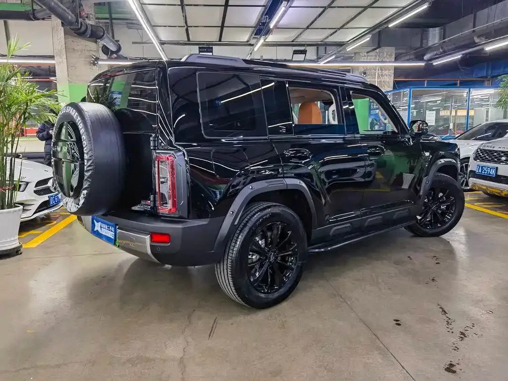 Haval Menglong New Energy 2025 из CN, фото 4