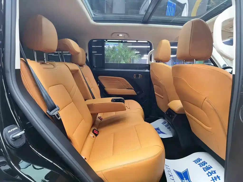 Haval Menglong New Energy 2025 из CN, фото 10