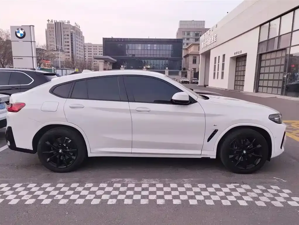 BMW X4 2023 из CN, фото 9