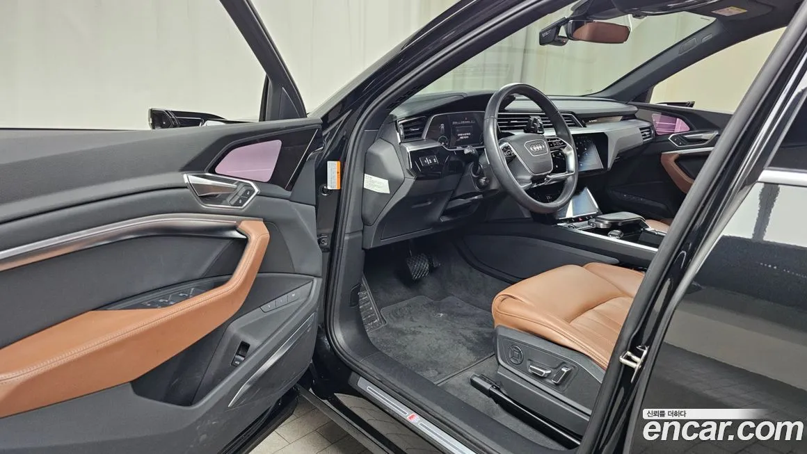Audi e-tron 2022 из KR, фото 6