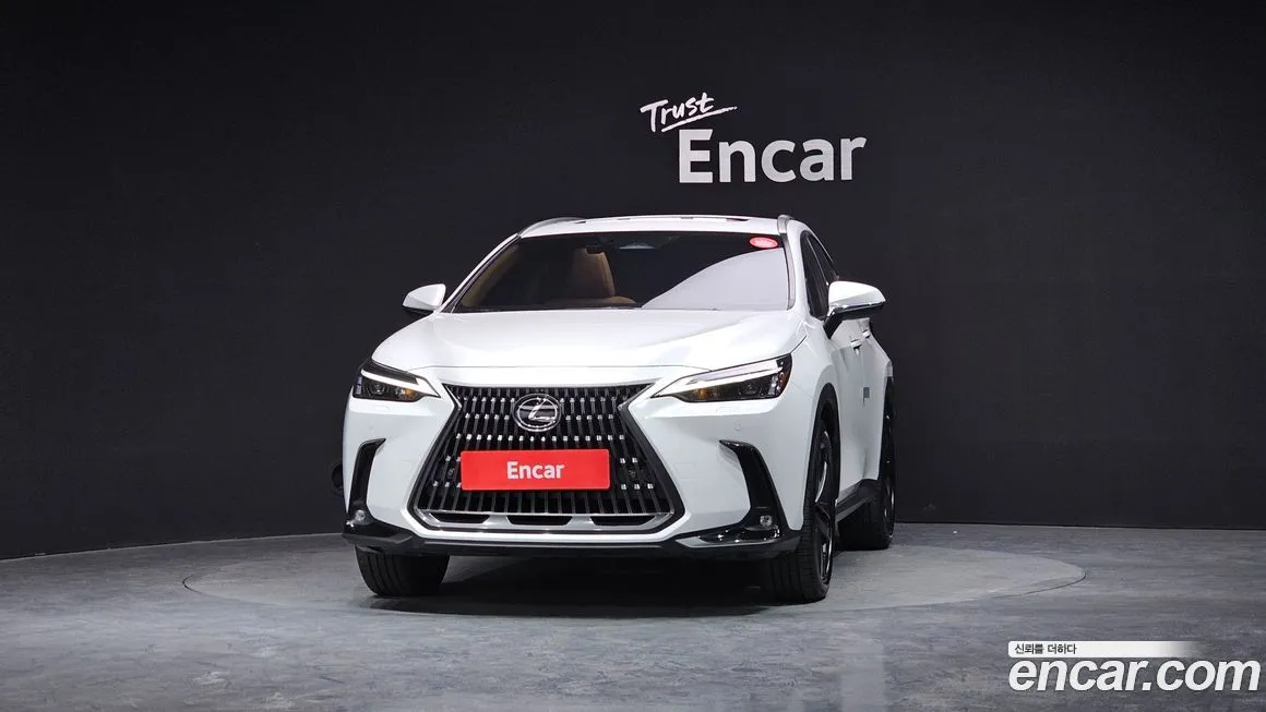 Lexus NX 2025 из KR, фото 3