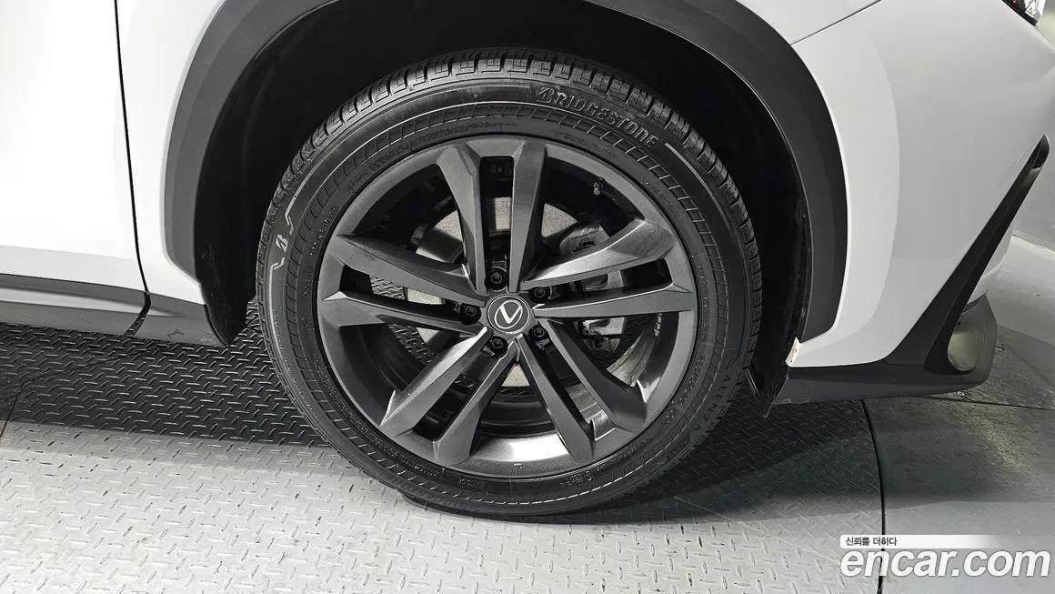 Lexus NX 2025 из KR, фото 6