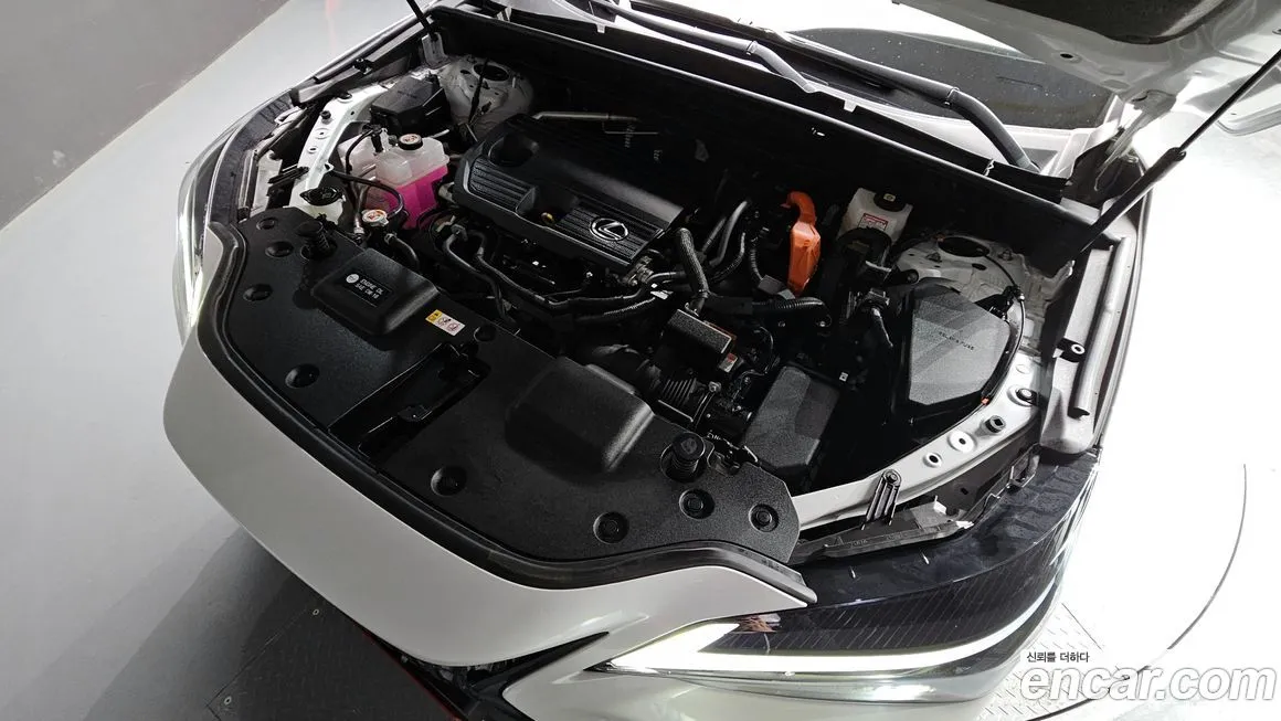 Lexus NX 2025 из KR, фото 7