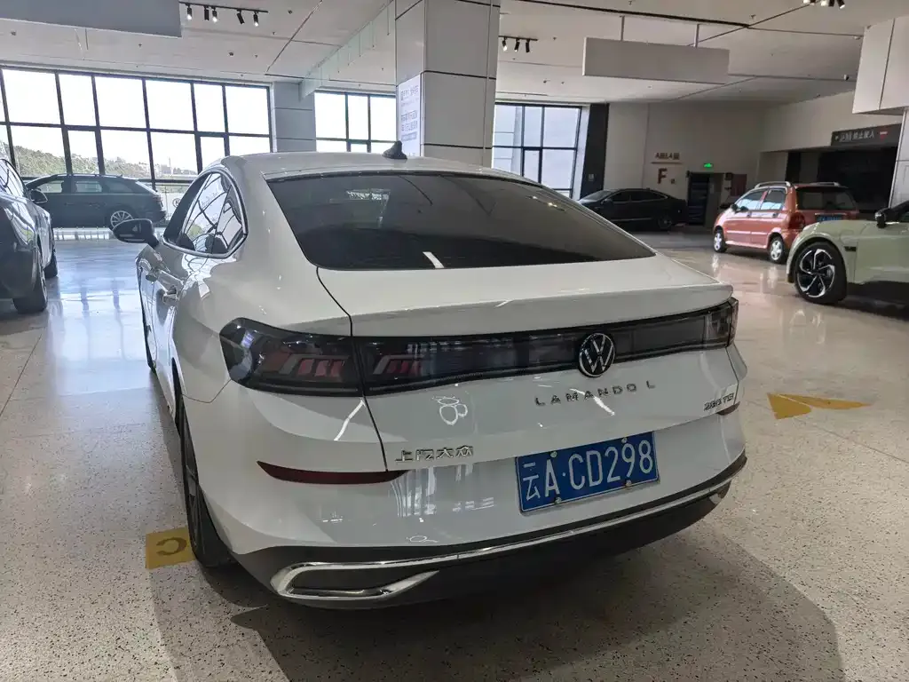 Volkswagen Lamando 2024 из CN, фото 4